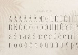 Orlevin | New Modern Serif
