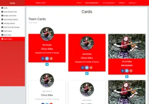 Ruk Bitcoin Theme