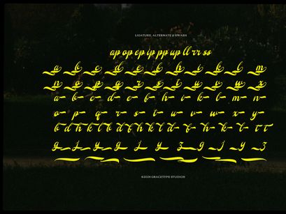 Regarding Wayback | Vintage Script