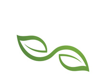 Logos of green Tree leaf ecology nature element vector