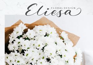 Holista Calligraphy
