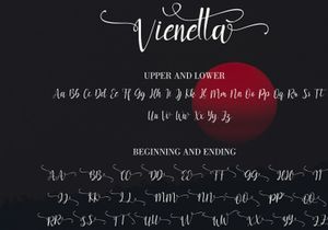 Vienatta