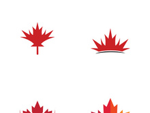 Canadian maple leaf logo design with a creative idea.
