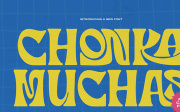 Chonka Muchas | Hand Drawn Groovy Font