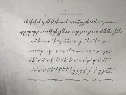 The Dearling | Handwritten Script