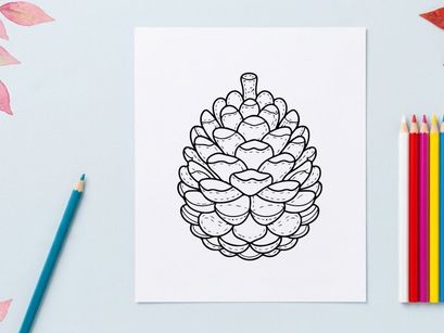 Close-up of a pine cone with detailed texture. Natural botanical element for nature and outdoor themes.