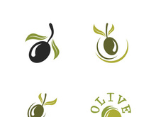 olive icon vector illustration design template