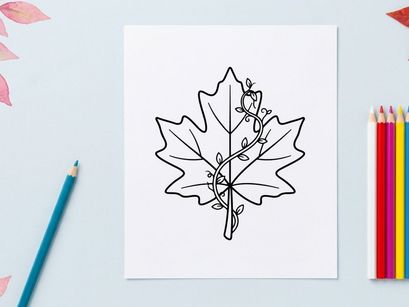 Stylized maple leaf illustration for nature and design projects. Artistic botanical drawing for eco-themed visuals.