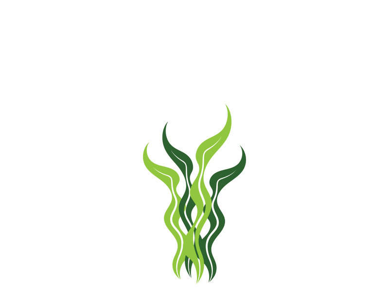 seaweed vector illustration template