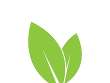 Leaf logo vector icon design template