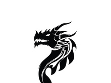 Dragon head vector image logo