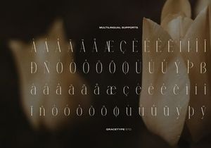 Anora Carmeo | Display Elegant Serif