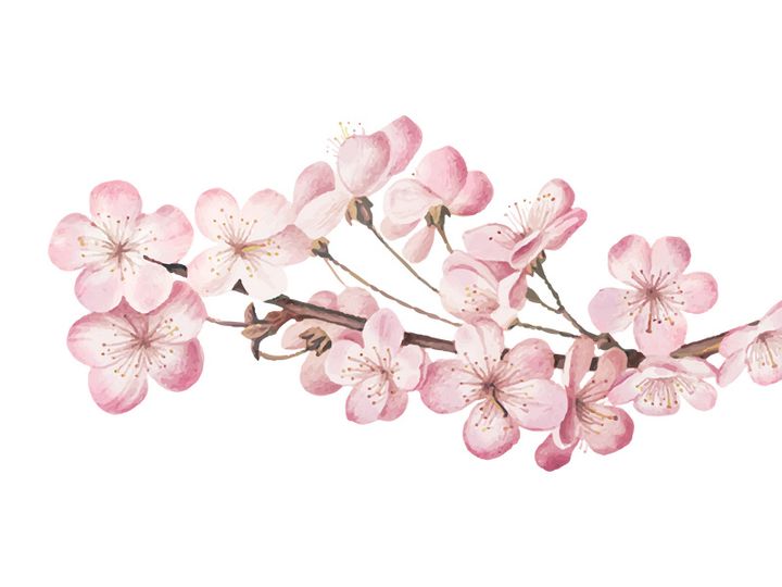 Vector Flower Watercolor Illustration