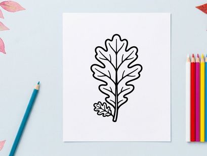 Close-up dari daun ek pada latar belakang putih. Detail botani alami untuk desain dan penggunaan edukasi.