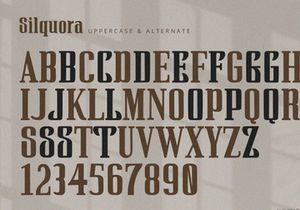 Silquora - Serif Font