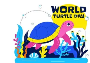 10 World Turtle Day Illustration