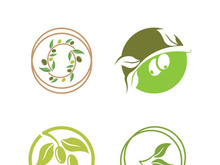 olive icon vector illustration design template