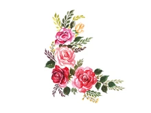 Vector Flower Watercolor Illustration