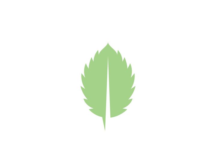 Mint Leaf icon template illustration