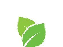 leaf logo green ecology nature element vector image