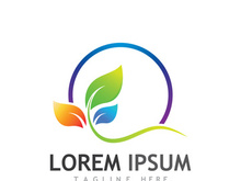 Natural green leaf logo design.