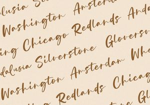 Bridget - Modern Script Font