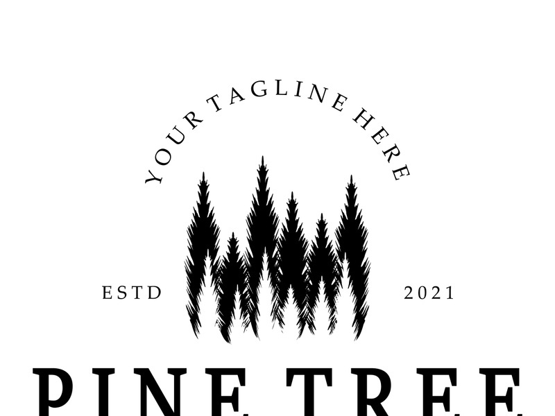 simple pine or fir tree logo,evergreen.for pine forest,adventurers,camping,nature,badges and business.vector