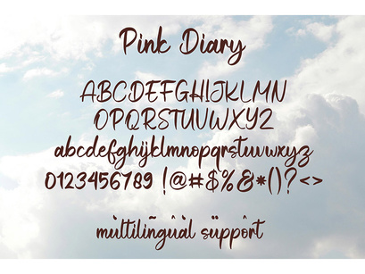 Pink Diary