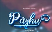 Payhu