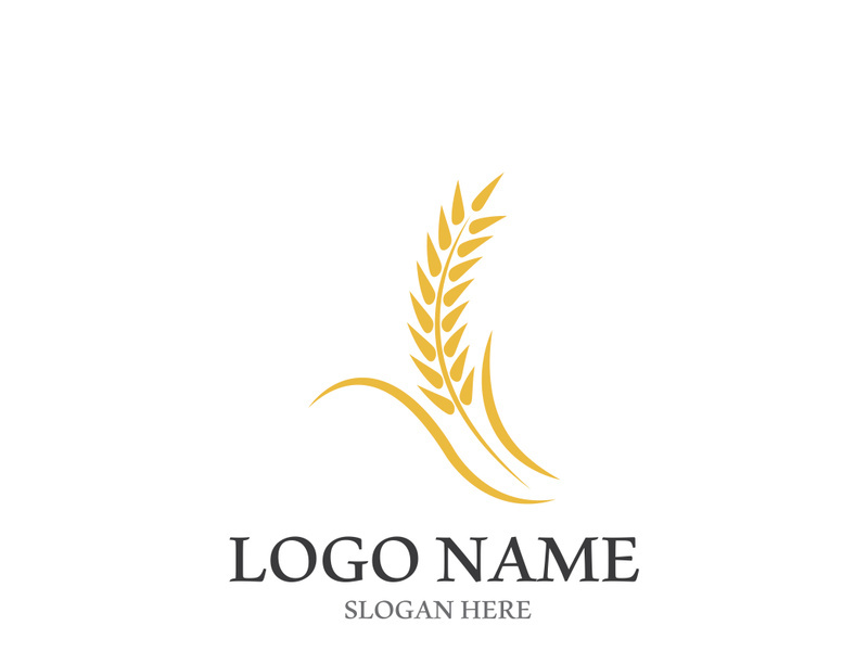 Wheat logo vector icon illustration design