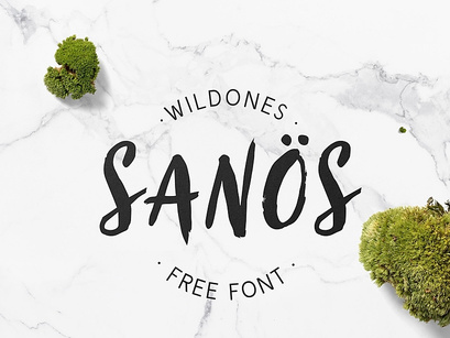 Sanös Brush Script Font