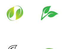 Natural green leaf logo design.