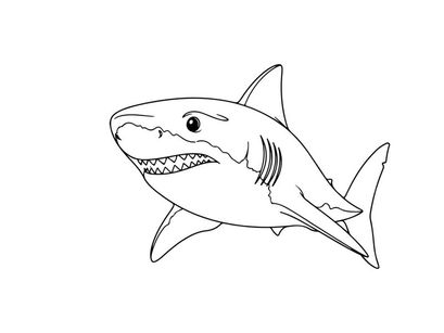 Shark swimming underwater vector illustration flat design