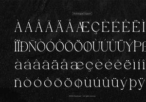 Evoxsy | Elegant Serif