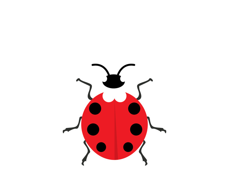 ladybird animal  vector logo symbol icon