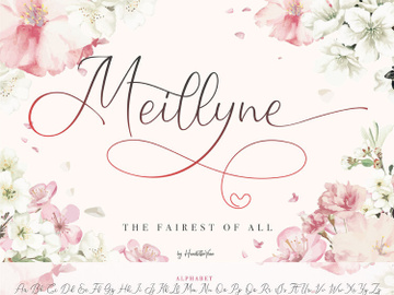 Meillyne Script Font preview picture