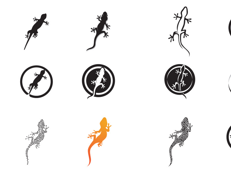 Lizard home animal gecko logo