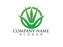 Aloe vera logo vector ilustration template