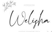 Welisha