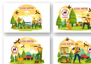 8 Illegal Hunting Illustration