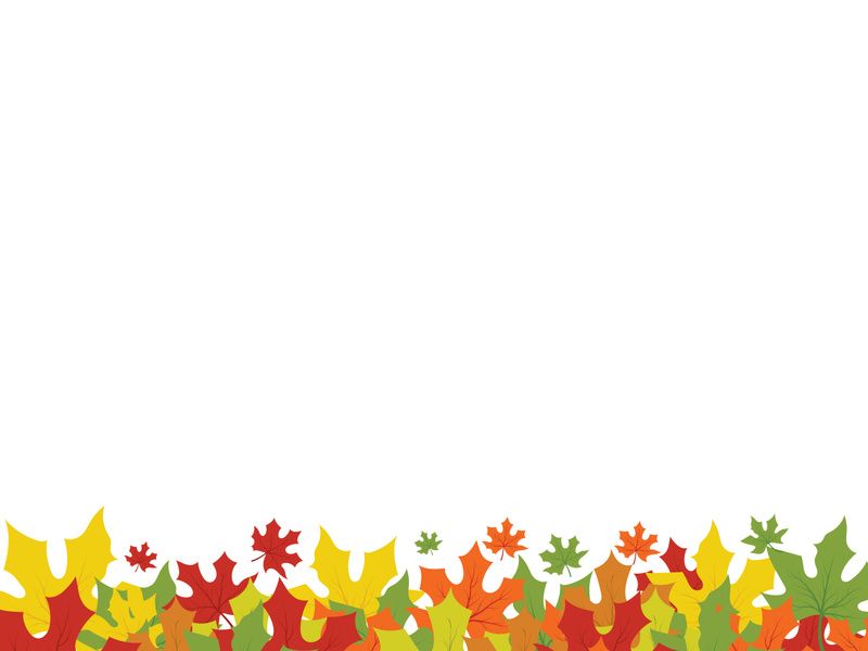 Maple Leaf design illustration
