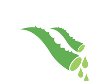 Aloe Vera logo icon design symbol beauty skin care