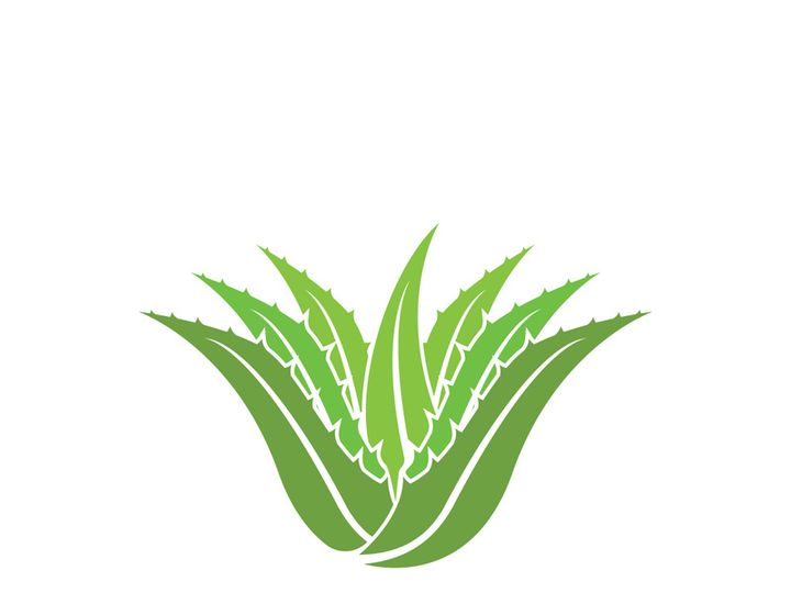 Aloe Vera logo icon design symbol beauty skin care
