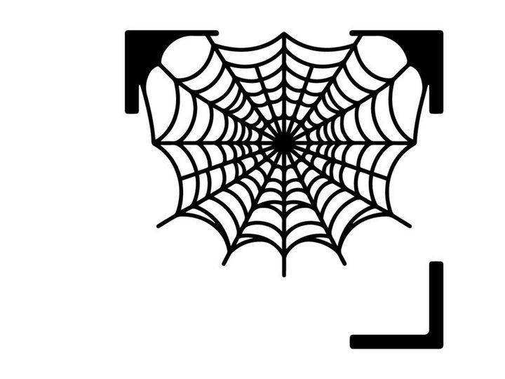 Black and White Spider Web with Dew Drops for Halloween or Nature Themes