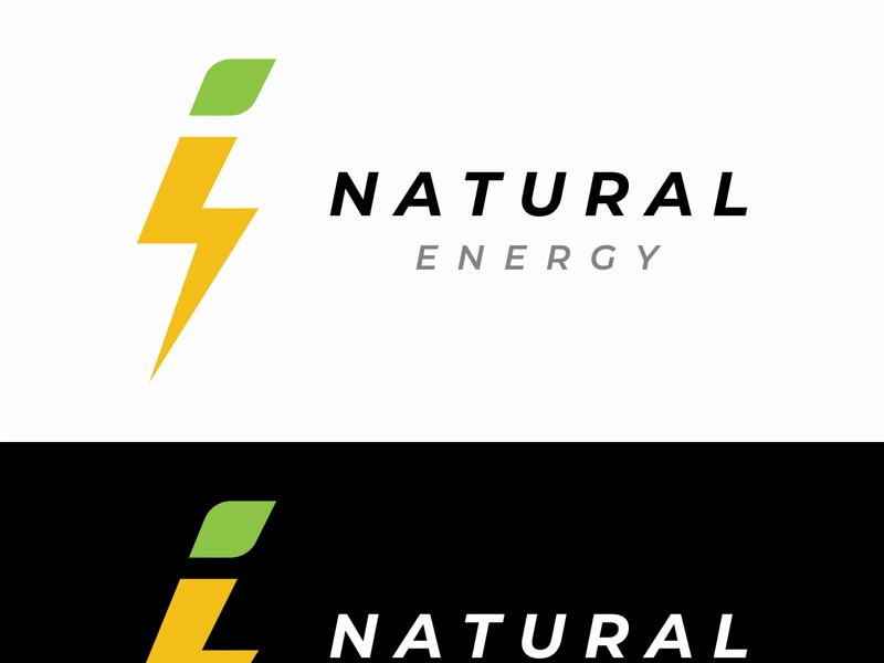 electric lightning logo, using modern vector design concept.