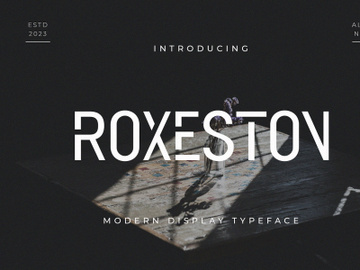 ROXESTON || Modern Sans preview picture