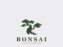 Bonsai Tree Logo Design template. vintage  illustration of aesthetic bonsai plants culture
