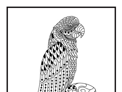 6 Birds  Coloring Book Pages KDP Interior.