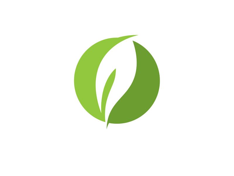 Green leaf logo  Nature icon design