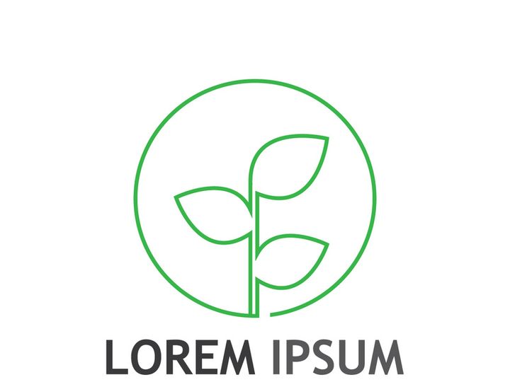Natural green leaf logo design.